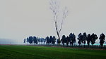 田野