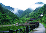 田园