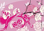花纹 凤凰