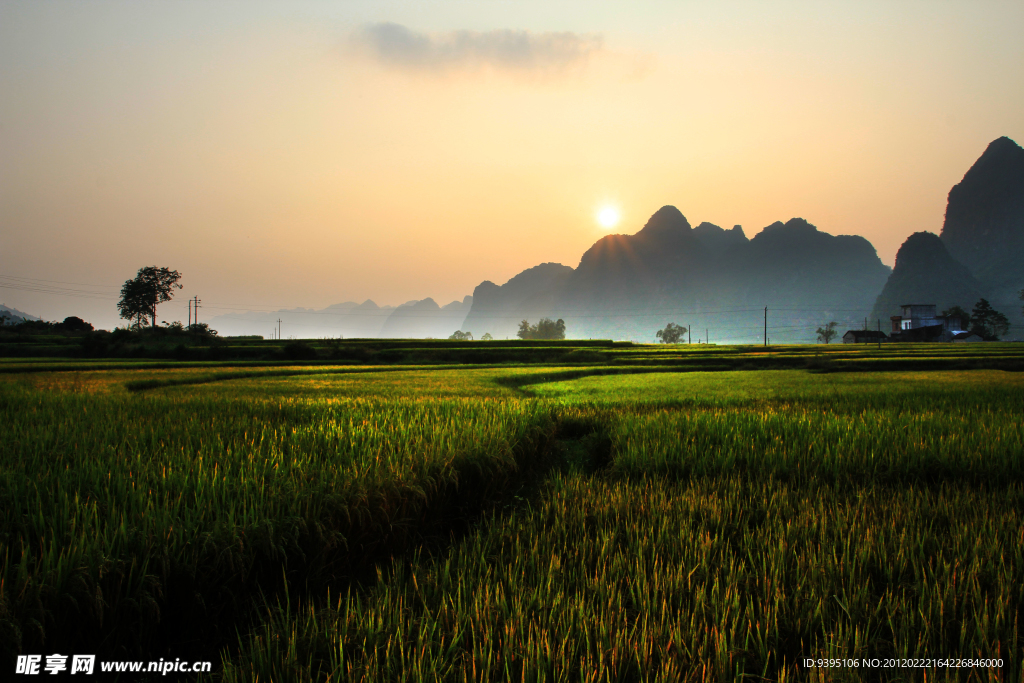 田间小景