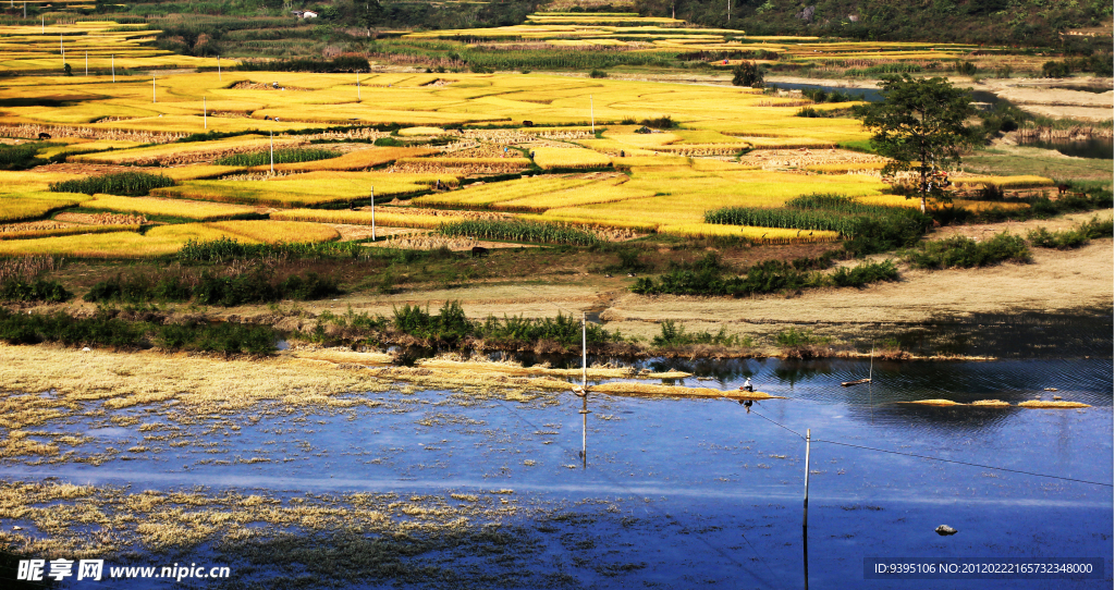 田间小景