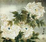 白牡丹