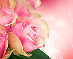 玫瑰花束