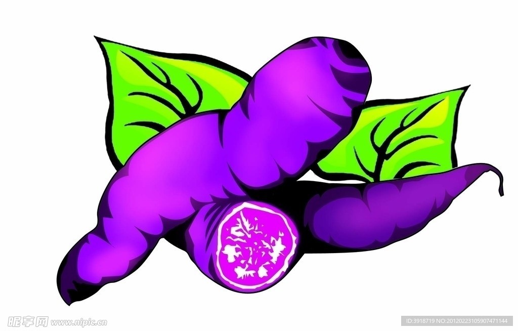 紫薯
