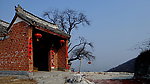 老树 山神庙