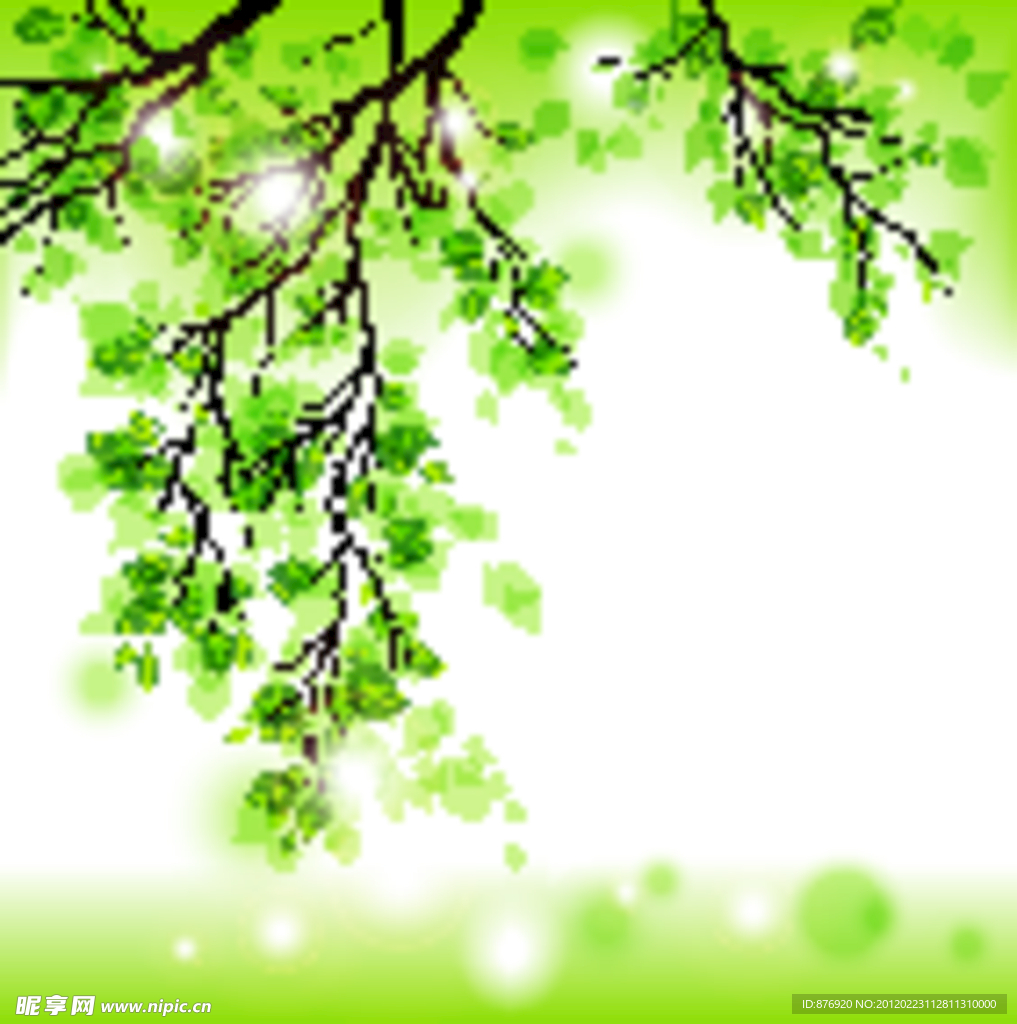 绿叶 树枝