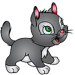 可爱小动物猫矢量图