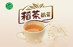 网站宣传首页