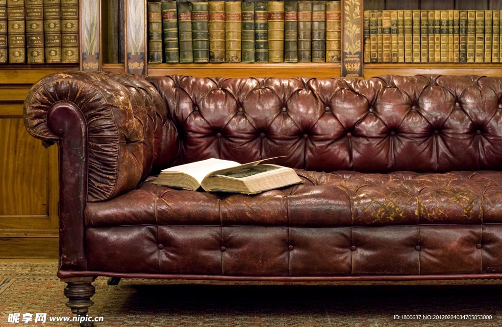古典书架和沙发