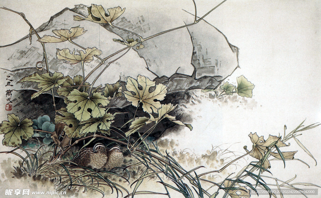 石荫鹌鹑