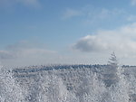雪景