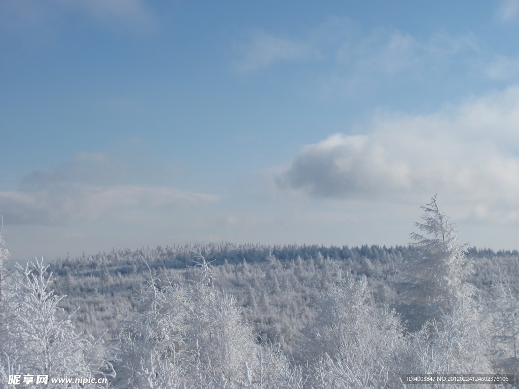 雪景