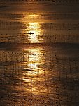 夕阳湖面