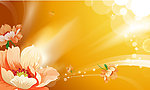 月季花