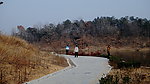 山道弯弯