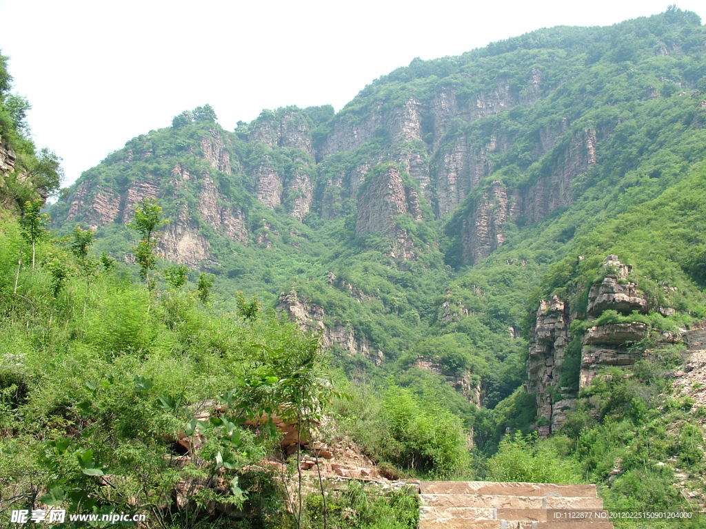 山峦 绿葱