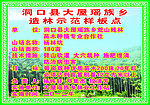 造林示范点