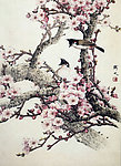 杏花香艳迎客来
