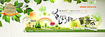 网页banner素材