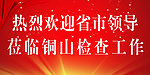 热烈欢迎省市领导