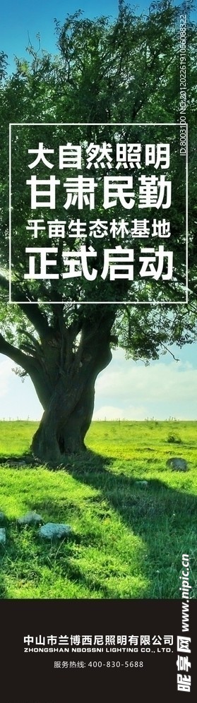 植树 关爱大自然