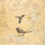 花鸟