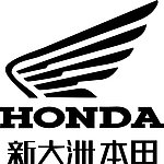新大洲标志