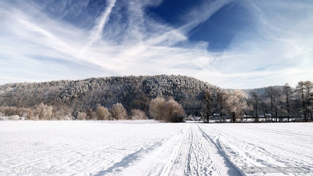 冬季雪景