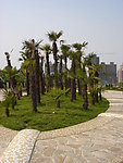绿化景观美图