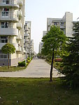 校园景观绿化