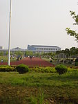 高校操场绿化