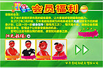 私教免费的福利公告