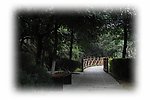 田园山村