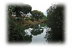 青山绿水