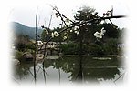 悠然意境
