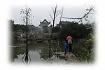 乡村风景