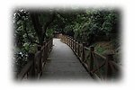 自然风景