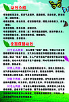 元气养生舱功能介绍