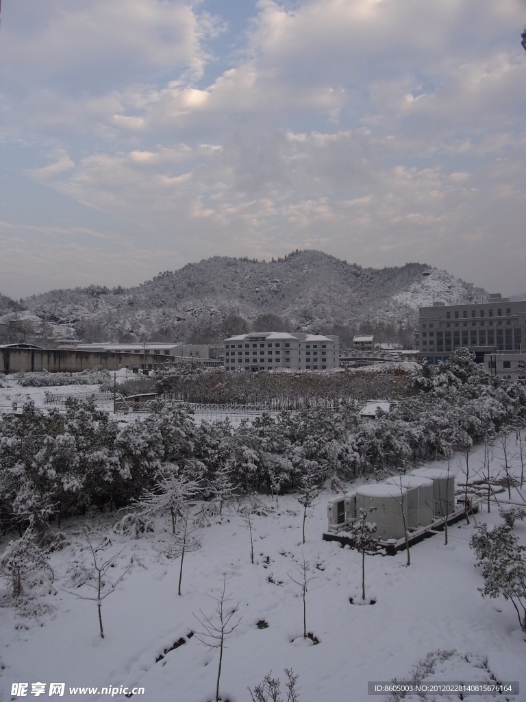雪雪