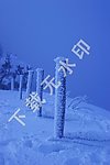 结冰 雪景