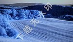 雪景 冬天