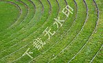 绿化梯级