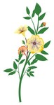 花 素材