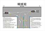 学车蝴蝶桩
