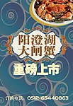 阳澄湖大闸蟹海报
