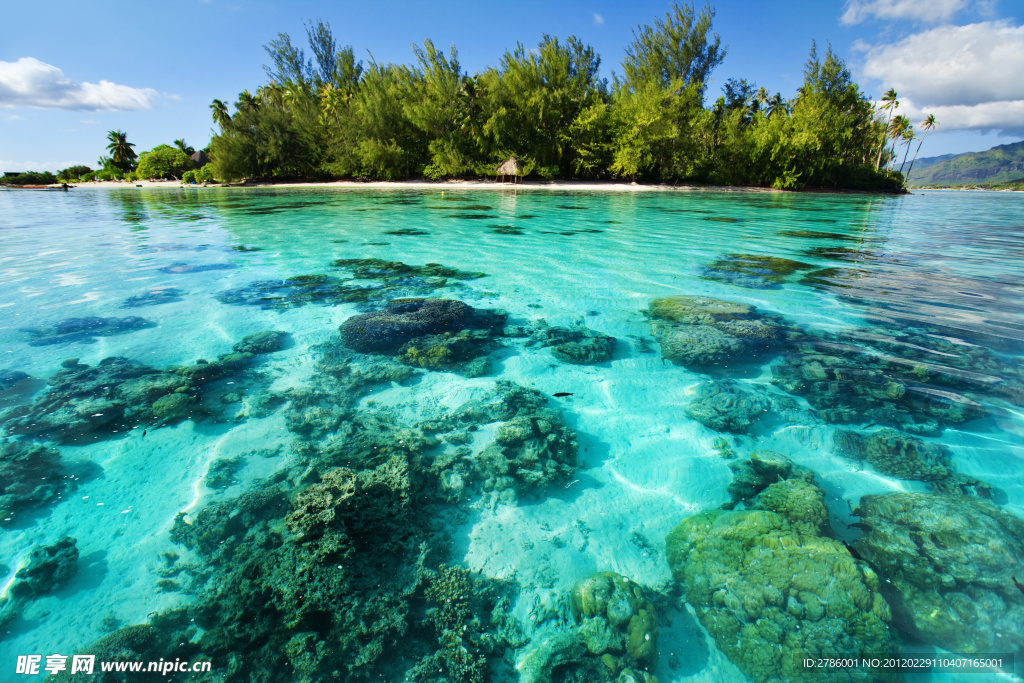 热带海滩 海边风景