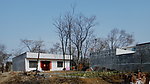 老树村