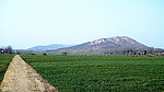 山下 绿野