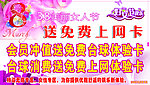 三八女人节
