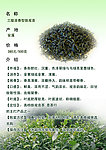 淘宝网店茶叶介绍